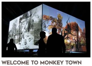 Monkey-Town-LA