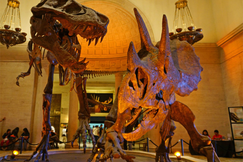 museum