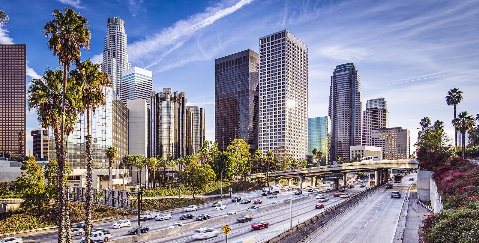 Chauffeured sightseeing tour Los Angeles